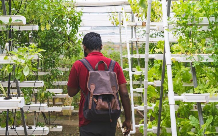 Limpieza profunda de tubos NFT: Eliminá sarro y restos de raíces