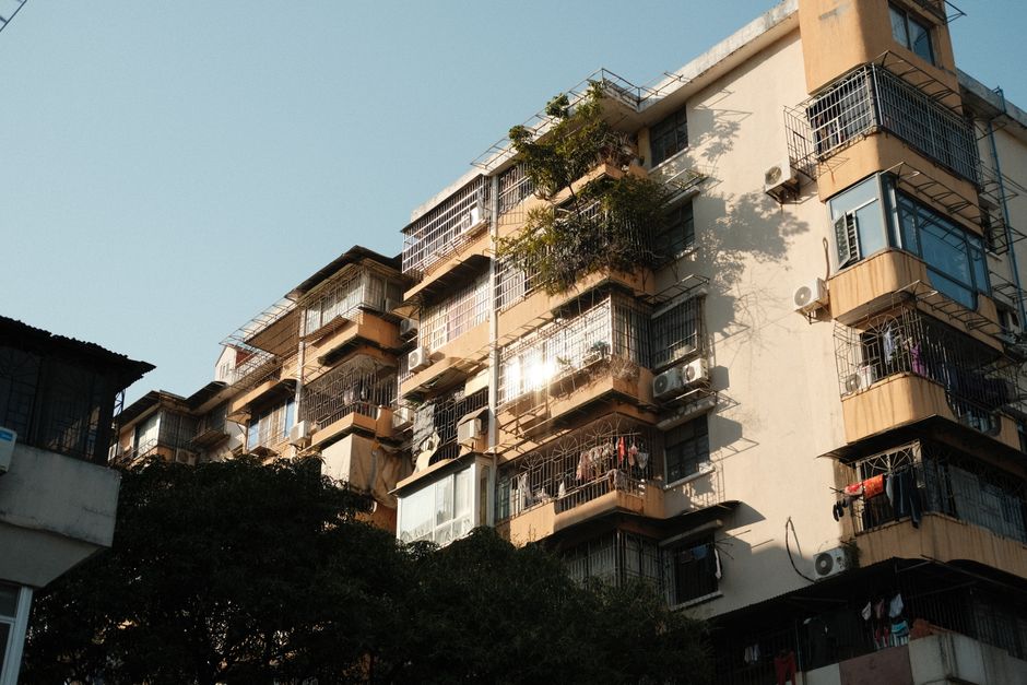 INTA y UNLAM: el módulo hidropónico antártico que llega a tu balcón