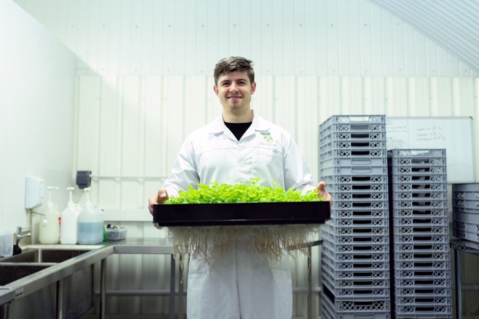 MAPHI hidroponía Antártica: el sistema argentino para cultivar en casa sin tierra