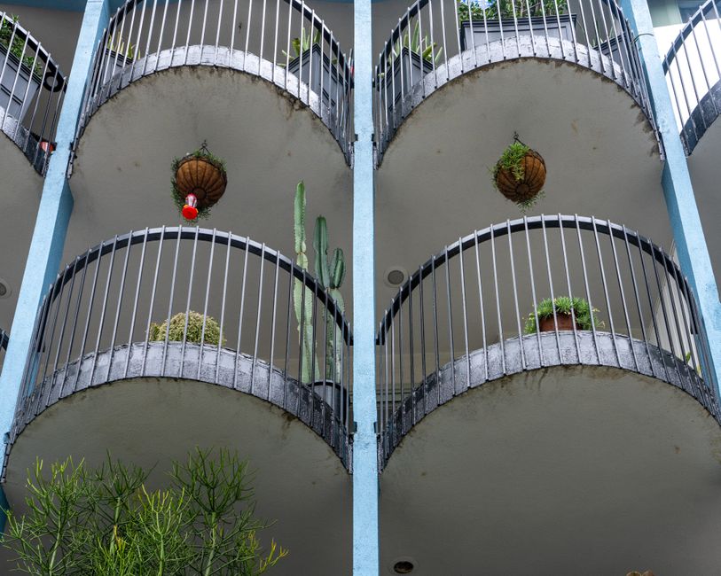Huerta urbana: las 8 claves del INTA para producir todo el año en tu balcón